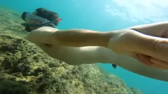 Reproduzir Gritando de alegria: dia de praia do exibicionista europeu com bastão de selfie