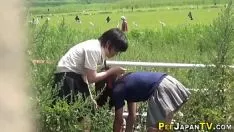 تشغيل المراهقون اليابانيون يتبولون