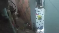 Reproducir Da6813ba-4eb9-41ba-996d-dbdf70fb7831.mov