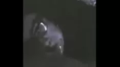 Reproduzir Me divertindo com uma latina incomum