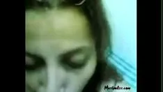 تشغيل الوطن العربي والعالم كله