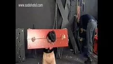 Jouer Deux coups de poing sm