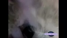 Afspelen [dampishcam.com] blok gladgeschoren poes wordt oud! [pornocamera vrijgeven]